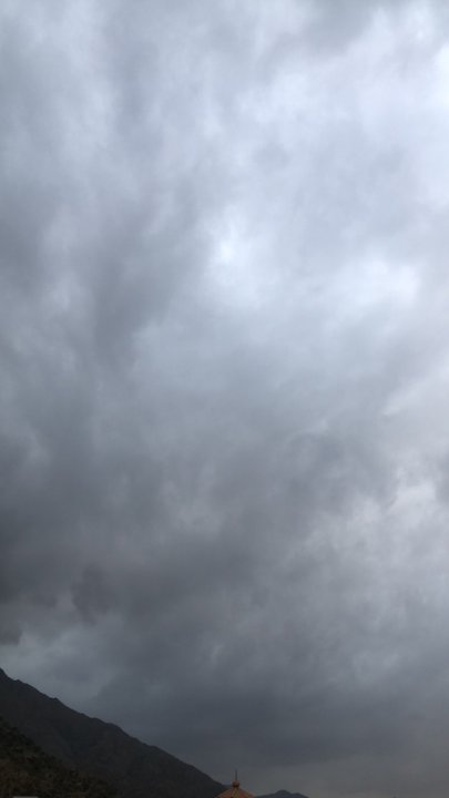 مشاركاتي في أنت الراصد