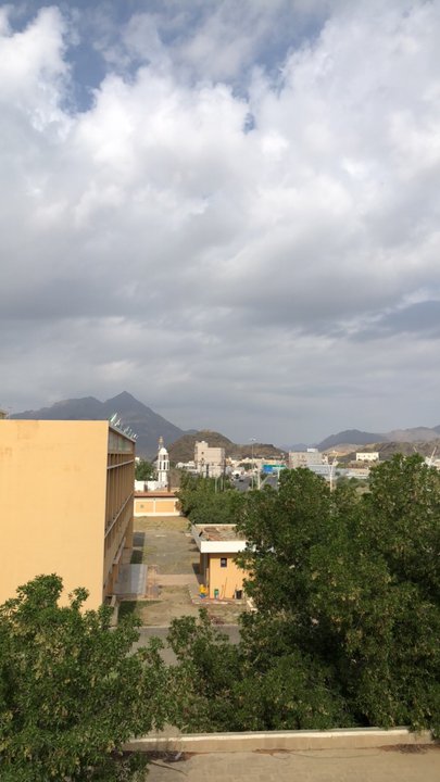 مشاركاتي في أنت الراصد