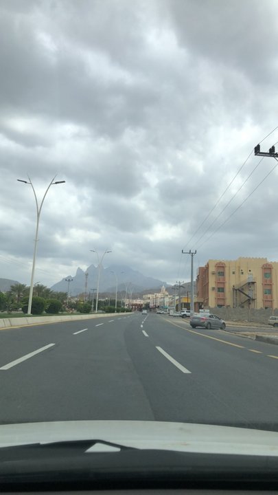 مشاركاتي في أنت الراصد