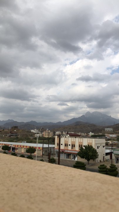 مشاركاتي في أنت الراصد