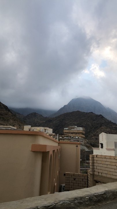 مشاركاتي في أنت الراصد