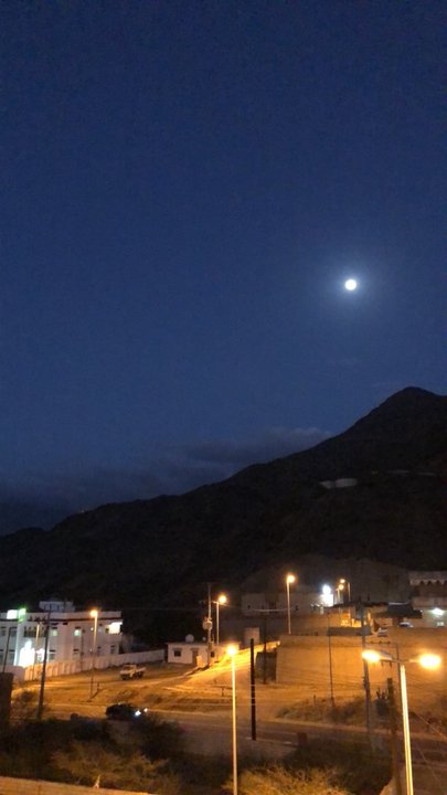 مشاركاتي في أنت الراصد