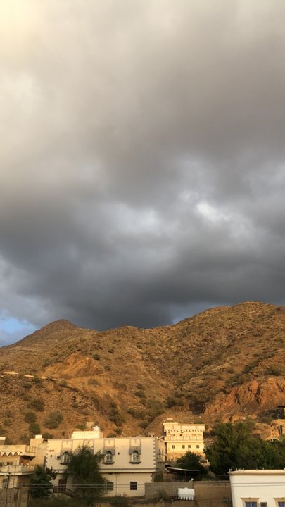 مشاركاتي في أنت الراصد