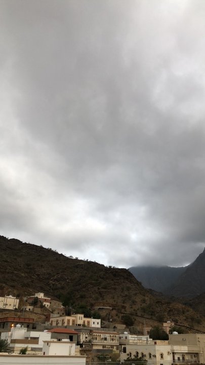 مشاركاتي في أنت الراصد