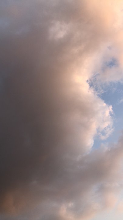 مشاركاتي في أنت الراصد