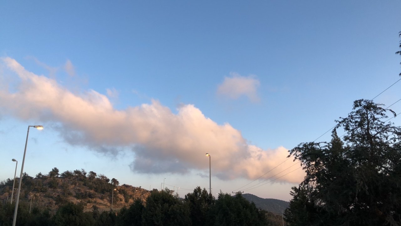 مشاركاتي في أنت الراصد