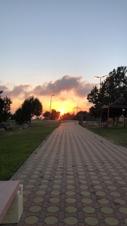 مشاركاتي في أنت الراصد