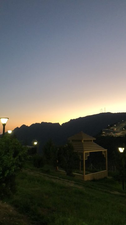 مشاركاتي في أنت الراصد