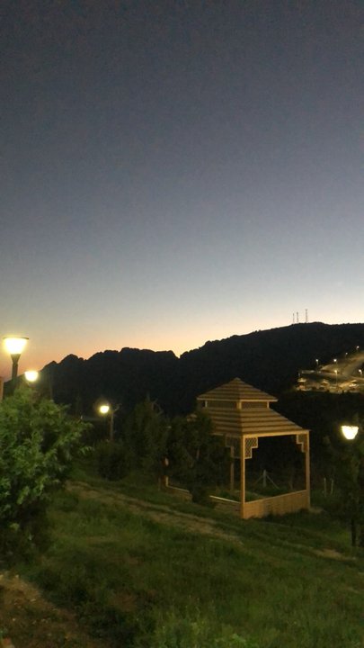 مشاركاتي في أنت الراصد