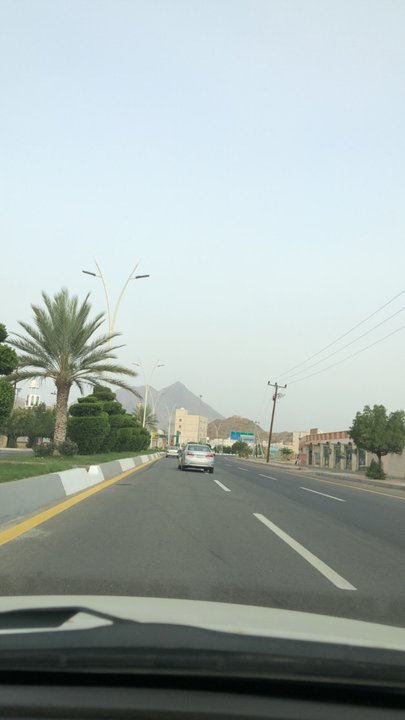 مشاركاتي في أنت الراصد