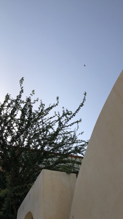 مشاركاتي في أنت الراصد