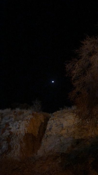 مشاركاتي في أنت الراصد