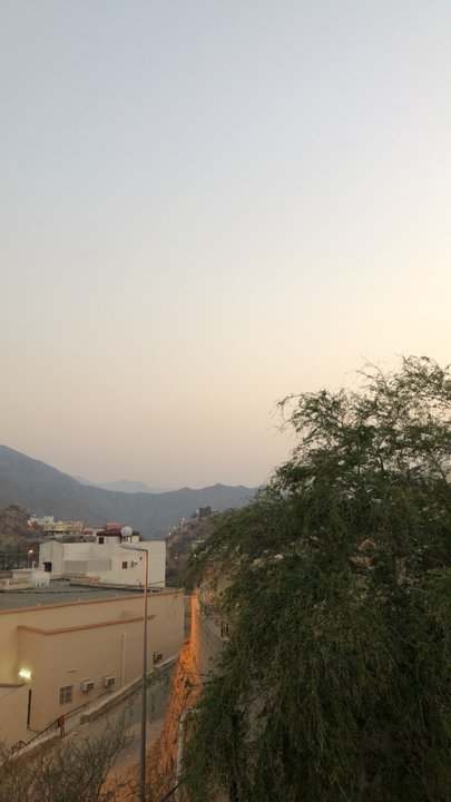 مشاركاتي في أنت الراصد