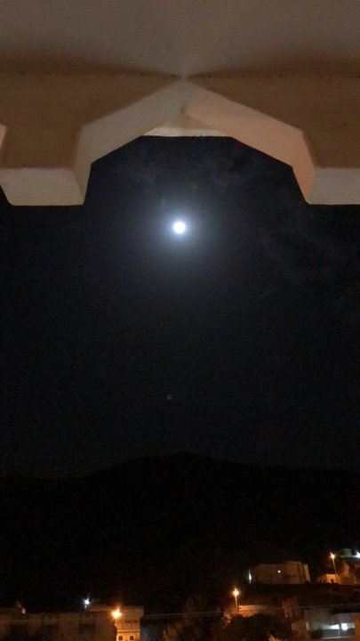 مشاركاتي في أنت الراصد