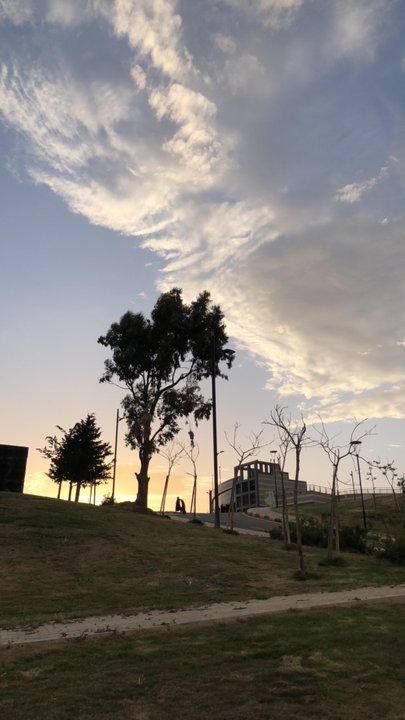 مشاركاتي في أنت الراصد