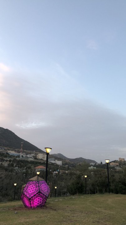 مشاركاتي في أنت الراصد