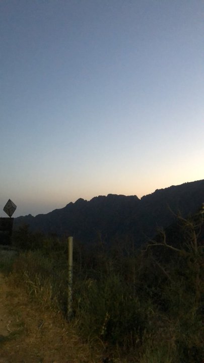 مشاركاتي في أنت الراصد