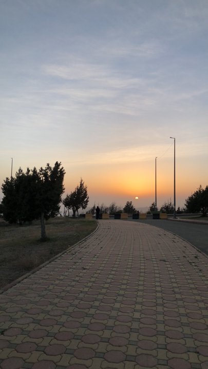 مشاركاتي في أنت الراصد