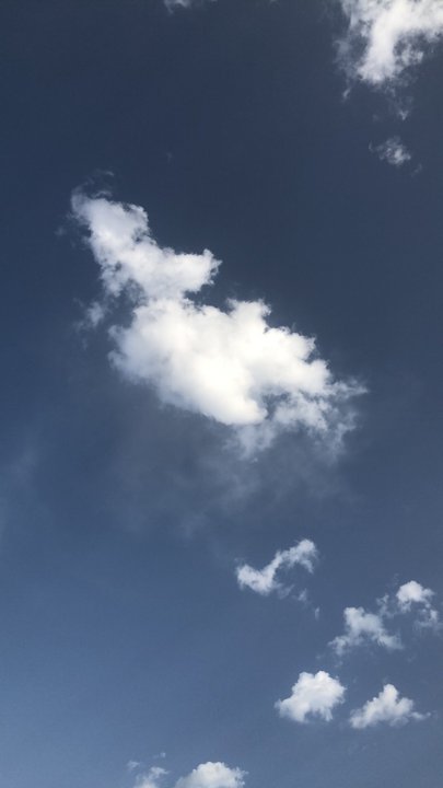 مشاركاتي في أنت الراصد