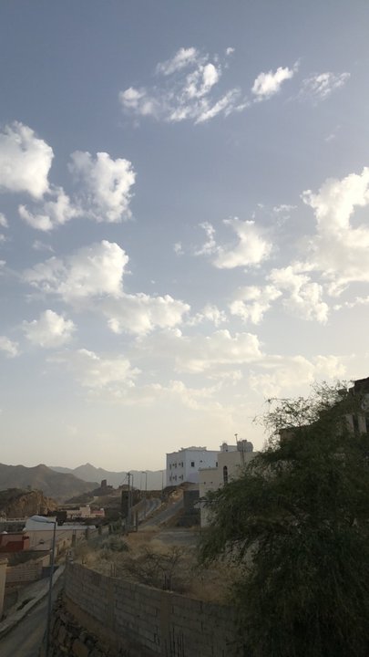 مشاركاتي في أنت الراصد