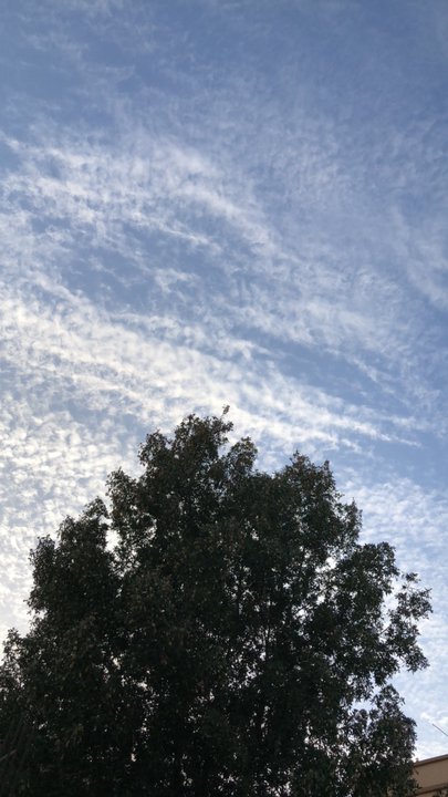 مشاركاتي في أنت الراصد