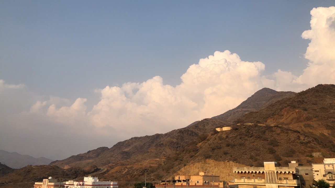 مشاركاتي في أنت الراصد