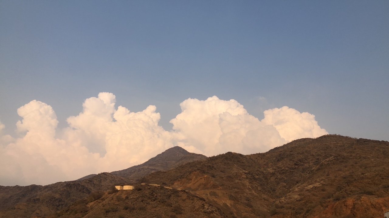 مشاركاتي في أنت الراصد