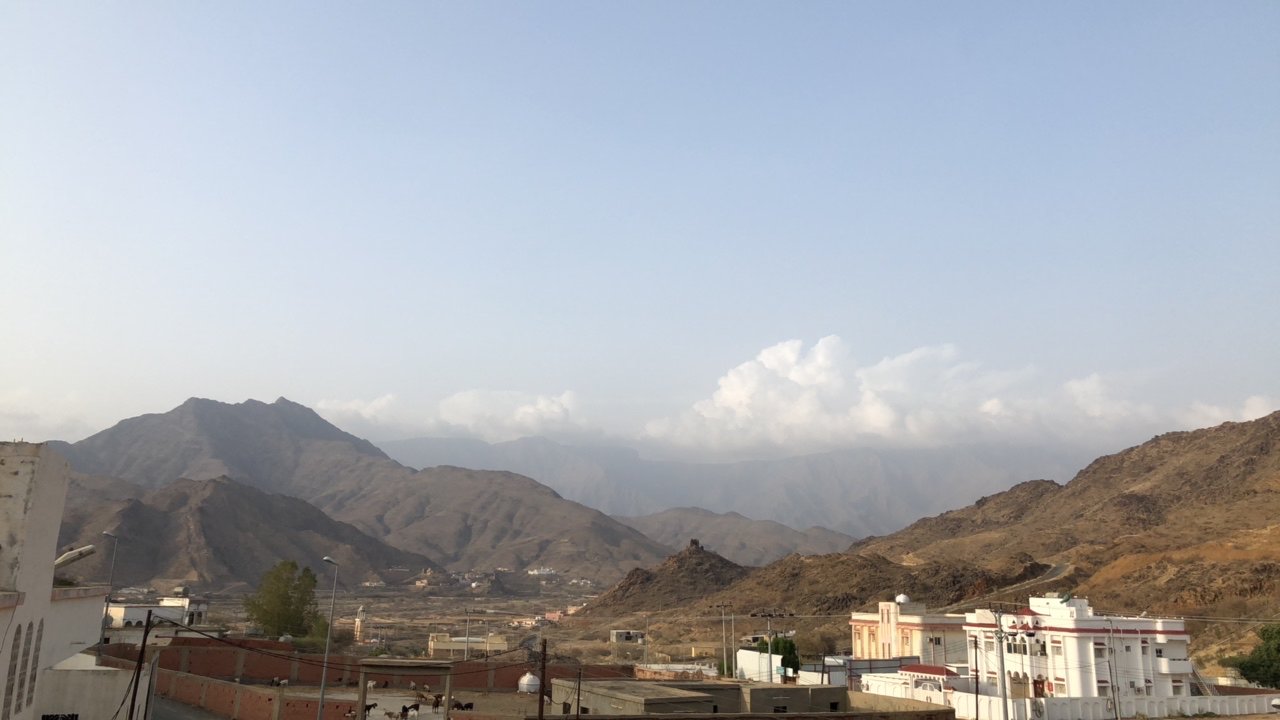 مشاركاتي في أنت الراصد