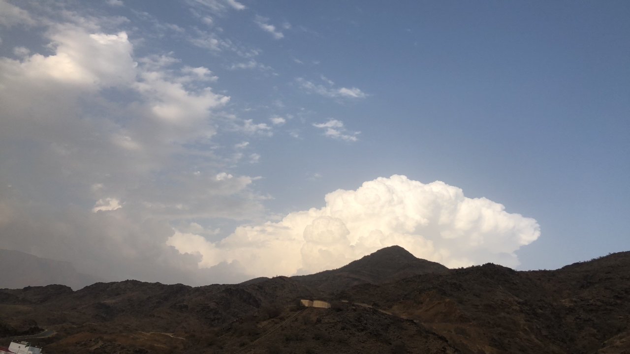 مشاركاتي في أنت الراصد