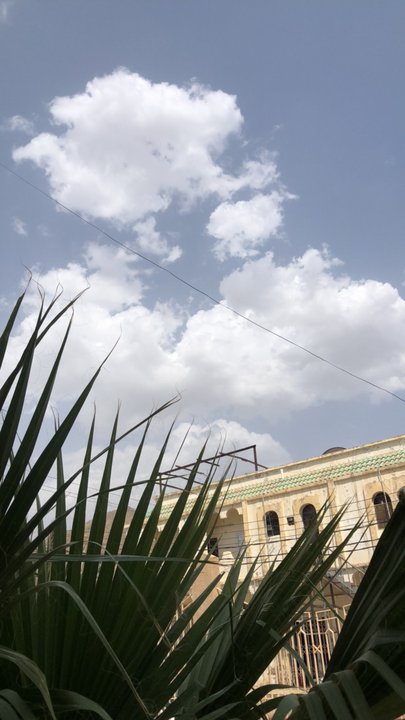 مشاركاتي في أنت الراصد