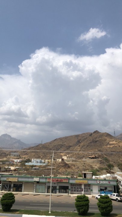 مشاركاتي في أنت الراصد