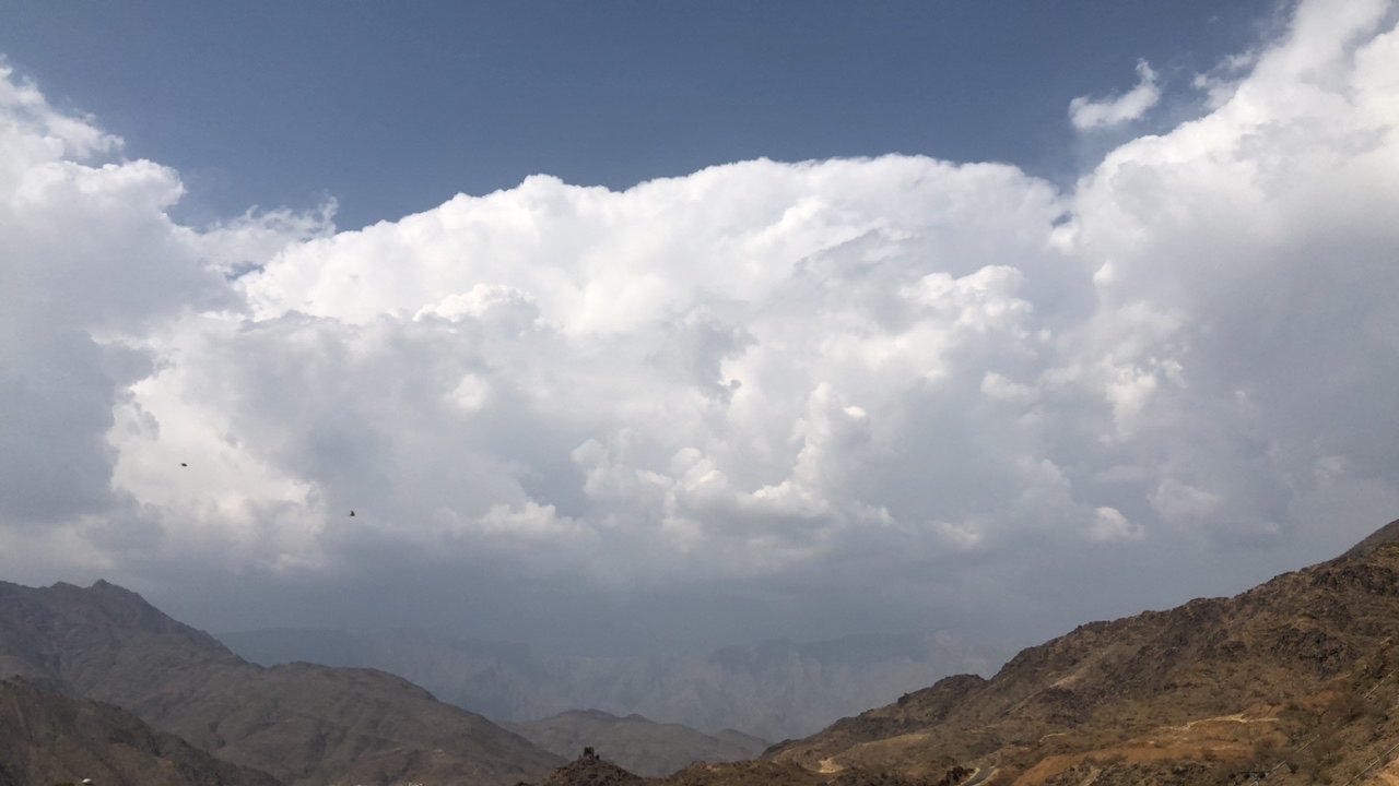 مشاركاتي في أنت الراصد