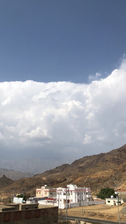 مشاركاتي في أنت الراصد