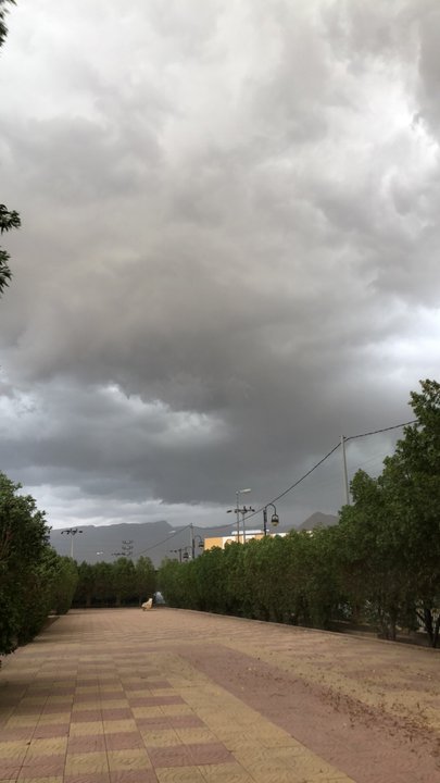 مشاركاتي في أنت الراصد