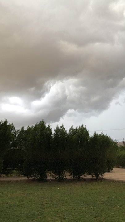 مشاركاتي في أنت الراصد