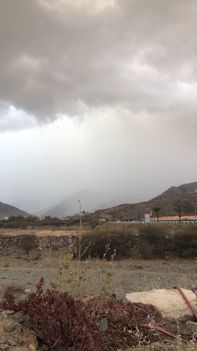 مشاركاتي في أنت الراصد