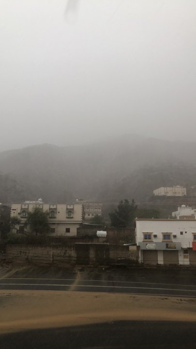 مشاركاتي في أنت الراصد