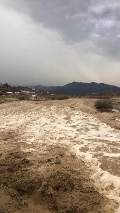 مشاركاتي في أنت الراصد