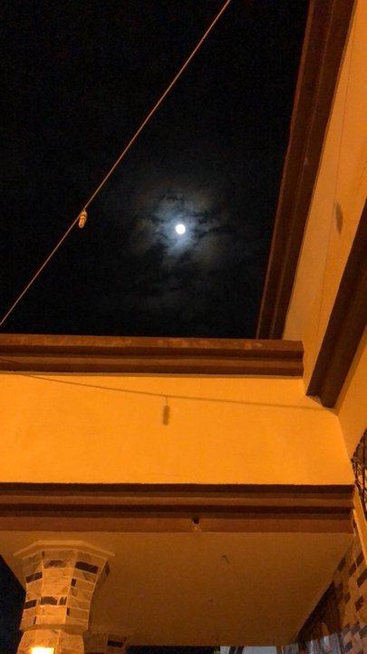 مشاركاتي في أنت الراصد