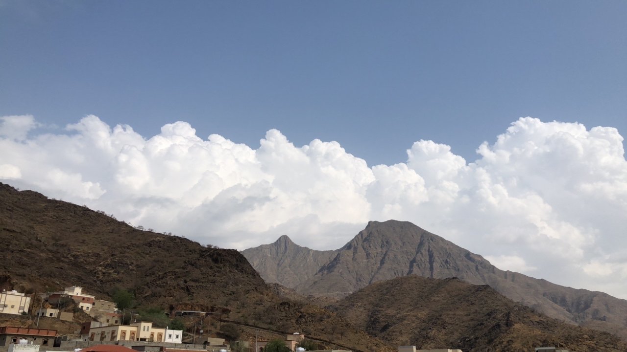 مشاركاتي في أنت الراصد