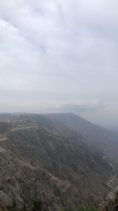 مشاركاتي في أنت الراصد