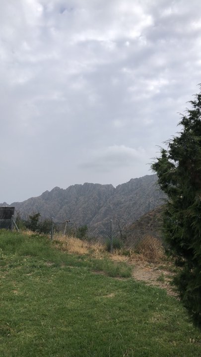 مشاركاتي في أنت الراصد