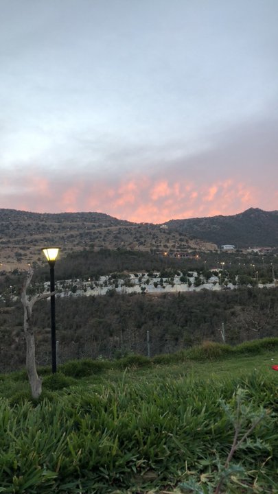 مشاركاتي في أنت الراصد