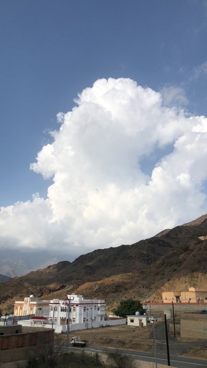 مشاركاتي في أنت الراصد