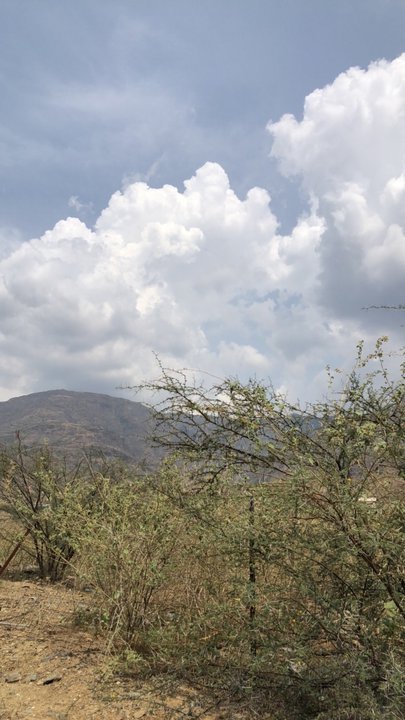 My Crowdsourcing Posts