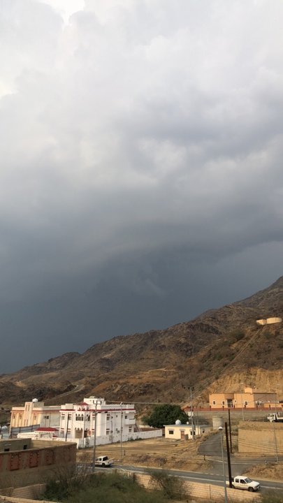 مشاركاتي في أنت الراصد