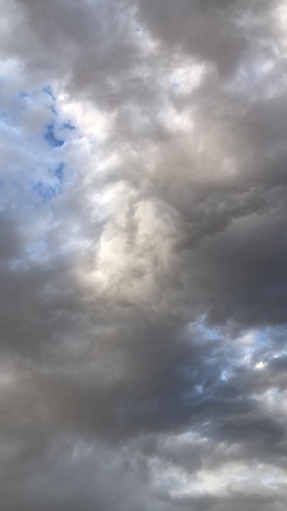 مشاركاتي في أنت الراصد