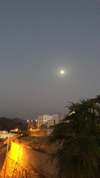 مشاركاتي في أنت الراصد