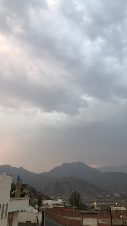 مشاركاتي في أنت الراصد