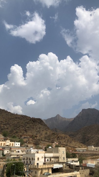 مشاركاتي في أنت الراصد